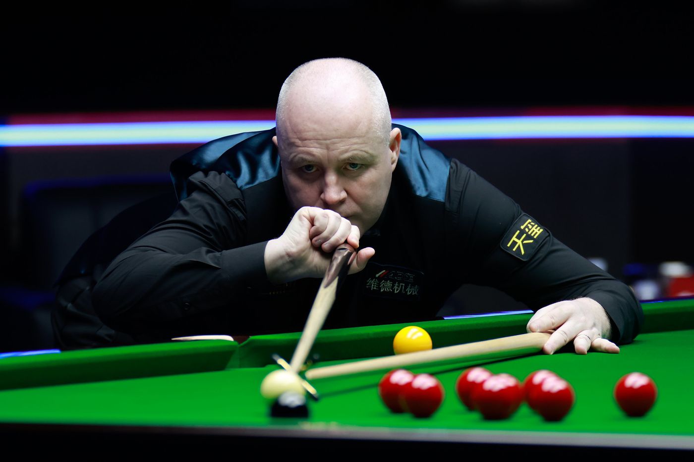 起粉丝的强 起粉丝的强